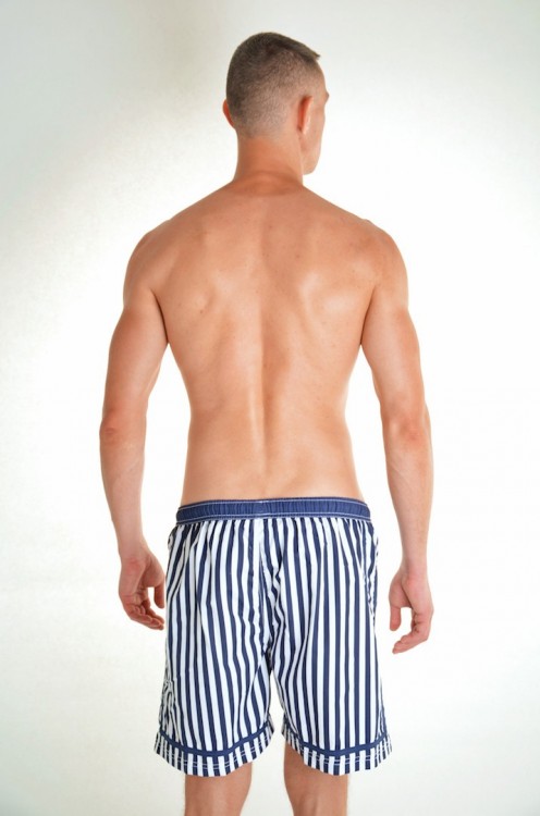 Полосатые пляжные шорты с вышивкой David Man D8...