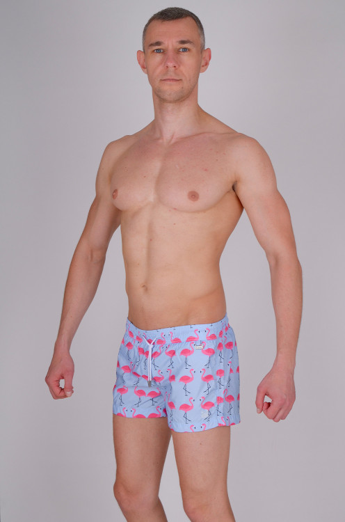 Мужские шорты для плавания David DM8-024