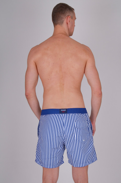 Мужские плавательные шорты David DM8-035