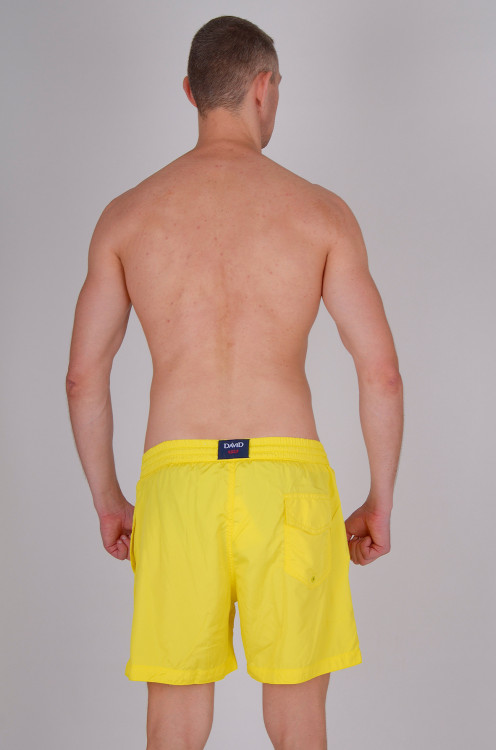 Пляжные шорты мужские David DM7-008 L